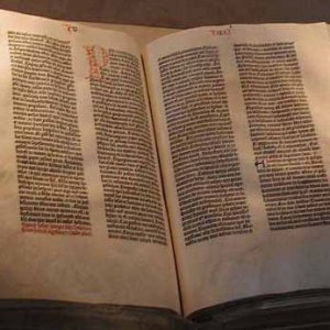 Biblical Studies  (OT + NT)