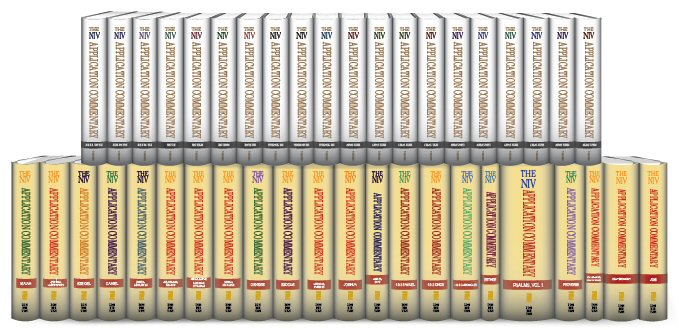 niv-application-bundle